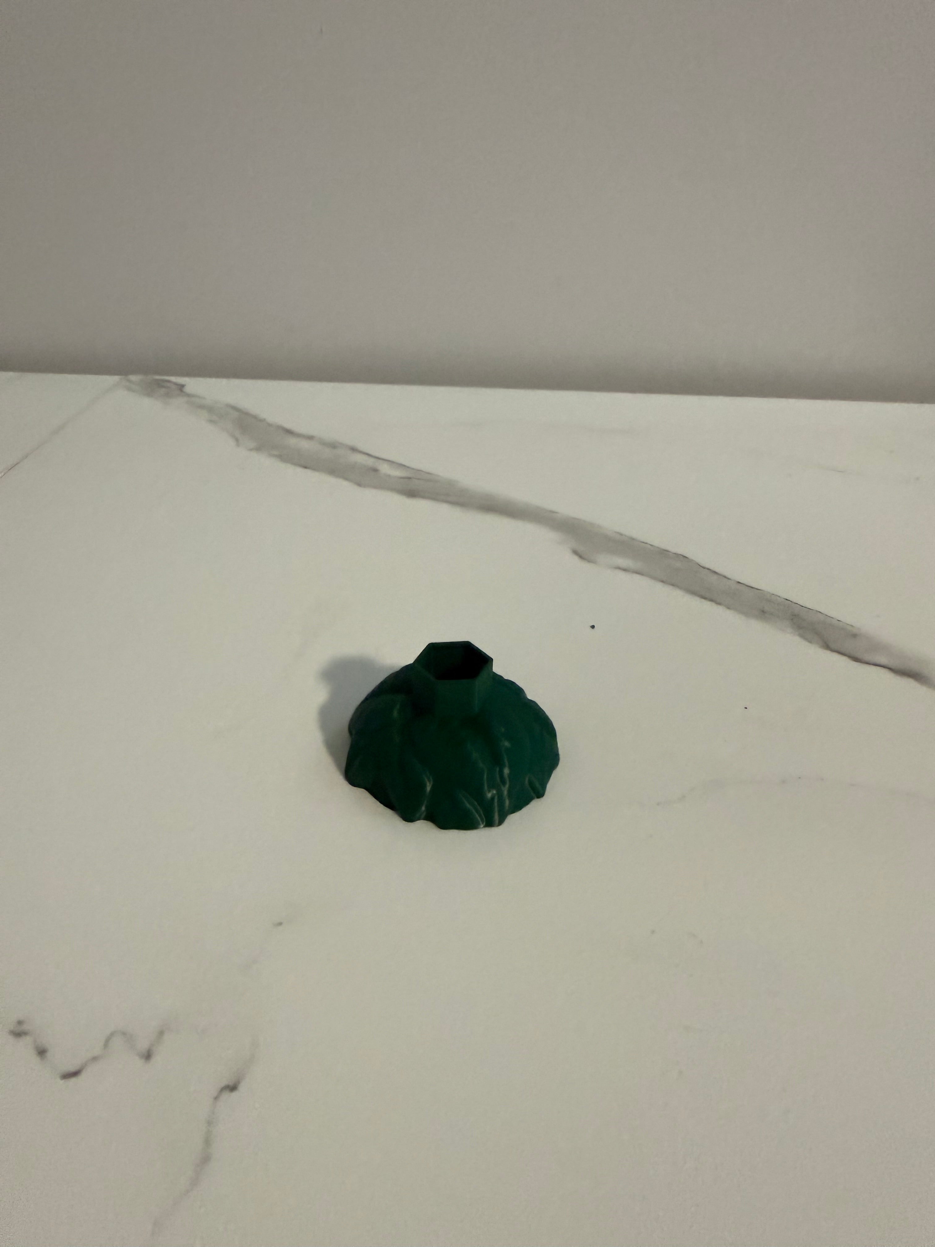 Life Trap Holder