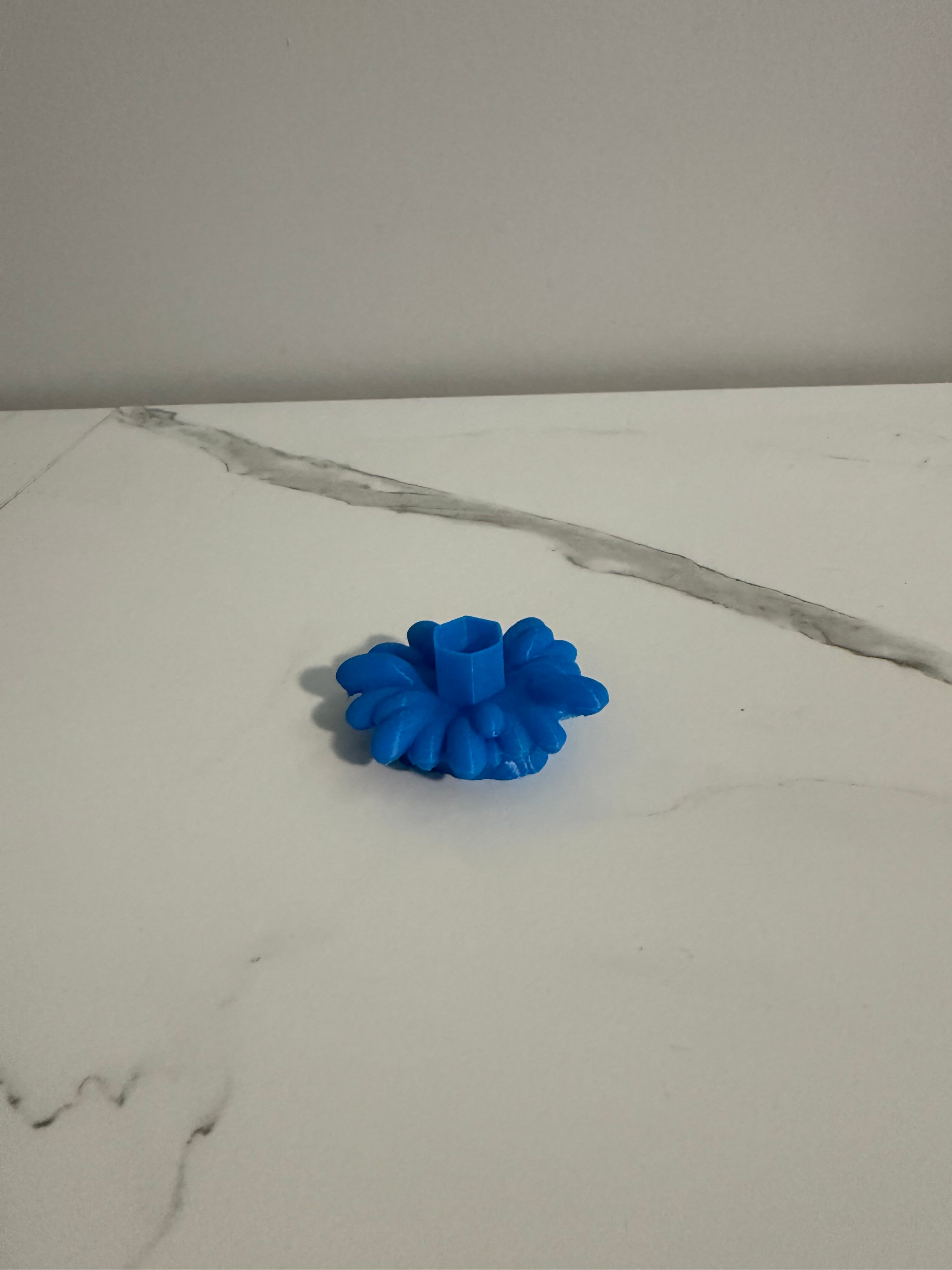 Water Trap Holder